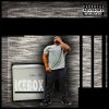 Download track (Secrecy & Silence) Ice Box