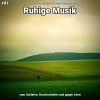 Download track Ruhige Musik Pt. 13