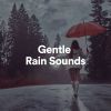 Download track Long Rainy Car Ride