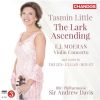 Download track 01. Violin Concerto I. Allegro Moderato