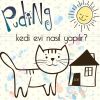 Download track Kedi Evi Nasıl Yapılır