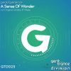 Download track A Sense Of Wonder (Grazba E Remix)