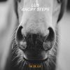 Download track Angry Steps