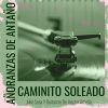 Download track Por El Camino Adelante