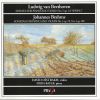 Download track Brahms-Sonata For Piano And Violin No. 3 Op. 108 1 - Allegro