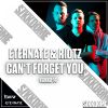 Download track Can't Forget You (Radio Edit)