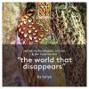 Download track The World That Disappears (Original Mix)