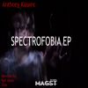 Download track Spectrophobia (Ryo Sawa Remix)