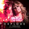 Download track Explode (Timbaland, BK Brasco)