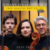 Download track Trio Sonata No. 3, BWV 527: III. Vivace