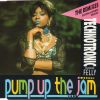 Download track Pump Up The Jam (The Punami Mix)