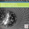 Download track Piano Concerto No. 2 In B-Flat, Op. 19: III. Rondo - Molto Allegro