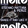 Download track Shake It And Like It (Mat's Mattara Mix)