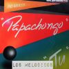 Download track Mi Cocha Pechocha (Remix)