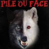 Download track Pile Ou Face