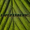 Download track Lofi Nocturnal Virus.