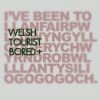 Download track Welsh Tourist Bored