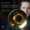 Download track Concertino Pour Trompette, Piano Et Orchestre A Cordes