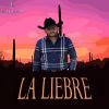 Download track La Liebre (En Vivo)