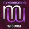 Download track Wisdom (Radio Edit)