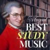 Download track Laurence Equilbey - Mass In C Major, K. 317 Coronation' II. Gloria