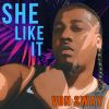 Download track -She Like It-