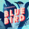 Download track Blue Bird (Ivan Starzev Remix)