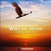 Download track Wings Of Destiny (Damian Wasse Remix)