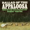 Download track Ballad Of The Appaloosa