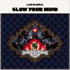 Download track Slow Your Mind