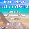 Download track Bella Y Sensual (Like Instrumental Mix Without Drum)