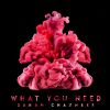 Download track What You Need (Extended Mix)