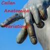 Download track Anatomica