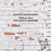 Download track Paranoidal Syndrome