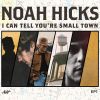 Download track I Can Tell You're Small Town