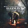 Download track Elephant