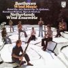 Download track Beethoven: March In B-Flat Major, WoO 29