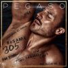 Download track Intro Pegaso