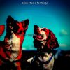 Download track Trio Jazz Soundtrack For Cute Puppies