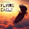 Download track Power Of Flying Eagle (With Forest Sound)