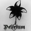 Download track Black Lily