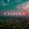 Download track Pandora (Radio Edit)