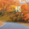 Download track 单人券