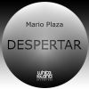 Download track Despertar