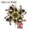 Download track Wild West Coma