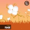 Download track Pamuk (Extended Mix)