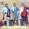 Download track Vaqueano De Rodeios