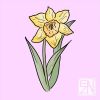 Download track Daffodil