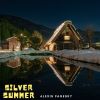 Download track Silver Summer