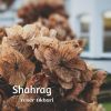 Download track Shahrag